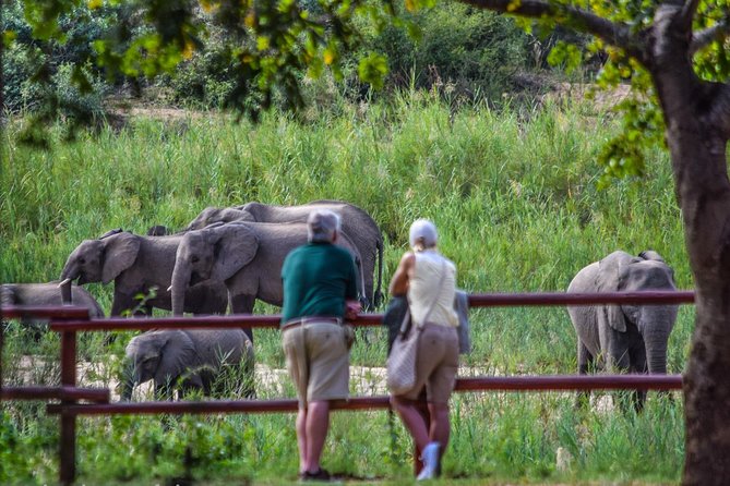 Private Full Day Safari L Kruger National Park From Hazyview or Skukuza - Last Words