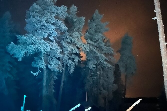 PRIVATE Glass Igloo Dinner Under Northern Lights - Last Words