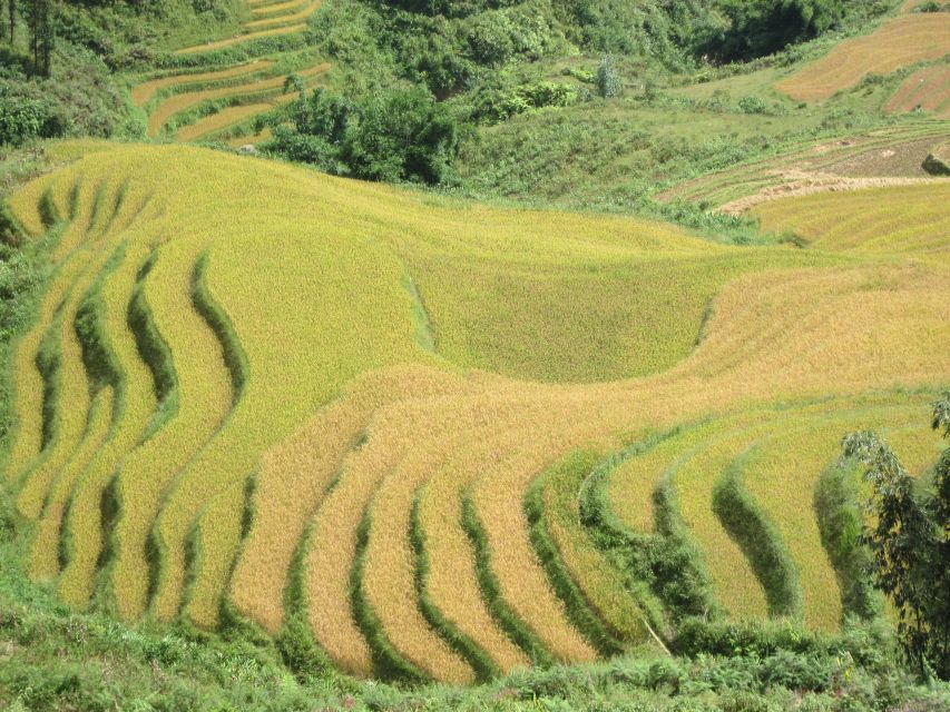Private Hoang Lien National Park & Tribal Village Trek - Common questions
