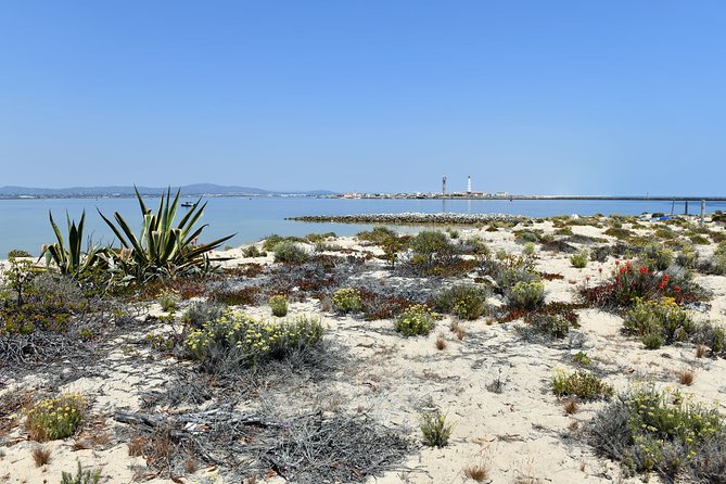 Private Sightseeing Boat Tour in Ria Formosa at Olhão - Product Reference