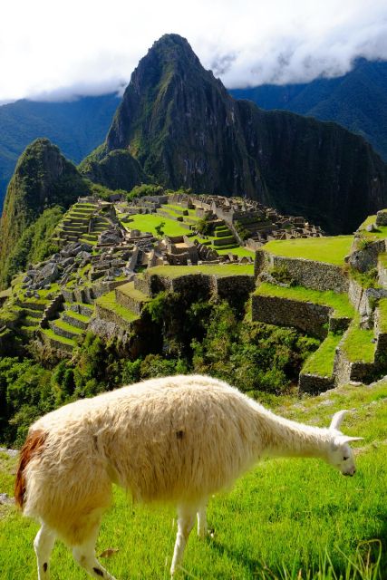 Private Tour 6DHotel 4Machupicchu,RainbowMountain,Maras - Cancellation Policies