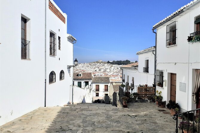 Private Tour in Antequera From Costa Del Sol - Booking Confirmation and Further Assistance