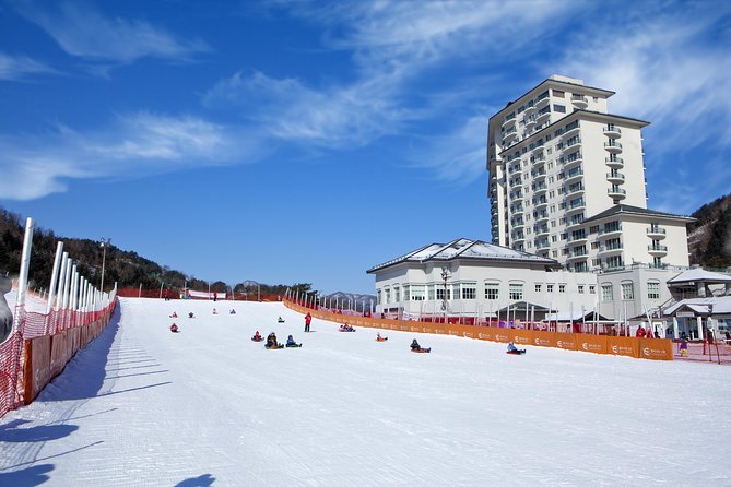 [Private Tour] Nami Island & Snow Viewing and Snow Sled (More Members Less Cost) - Last Words