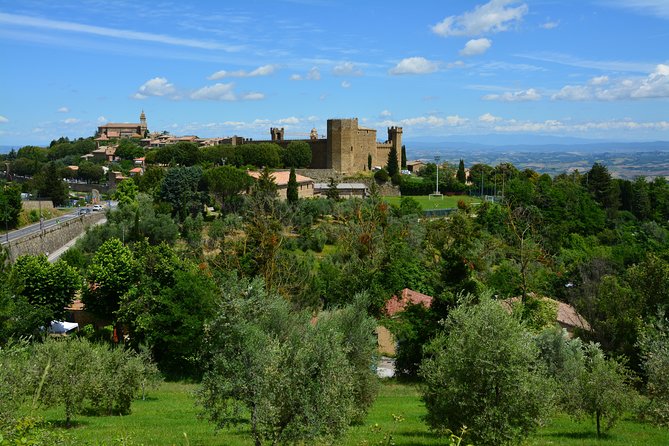 Private Tour: Orcia Valley to Montalcino and Montepulciano With Brunello Wine Tasting - Last Words