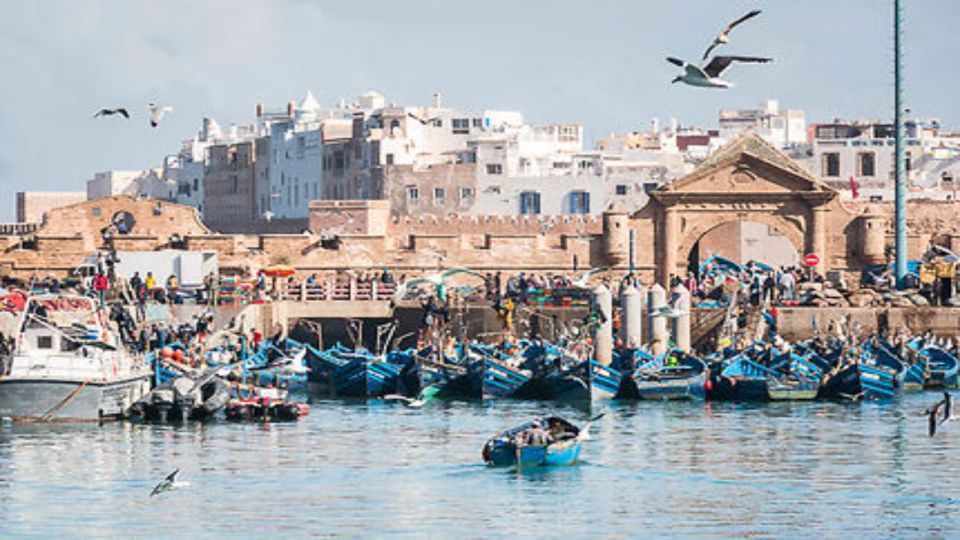 Private Transfert Between Marrakech & Essaouira - Convenient Drop-Off Locations