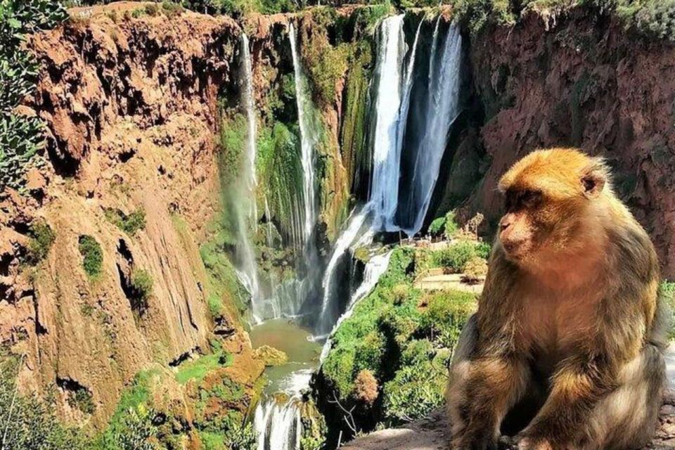 Private Trip Marrakech: Ouzoud Waterfalls Guided & Boat Ride - Overall Experience Summary