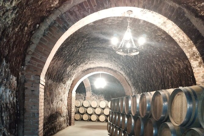 Private Wine Tasting And Visit Tour in Ribera Duero - Common questions