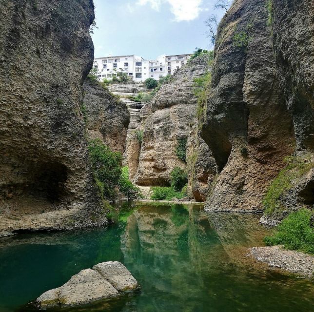 Pueblos Blancos & Ronda: Private Full-Day Tour From Seville - Last Words