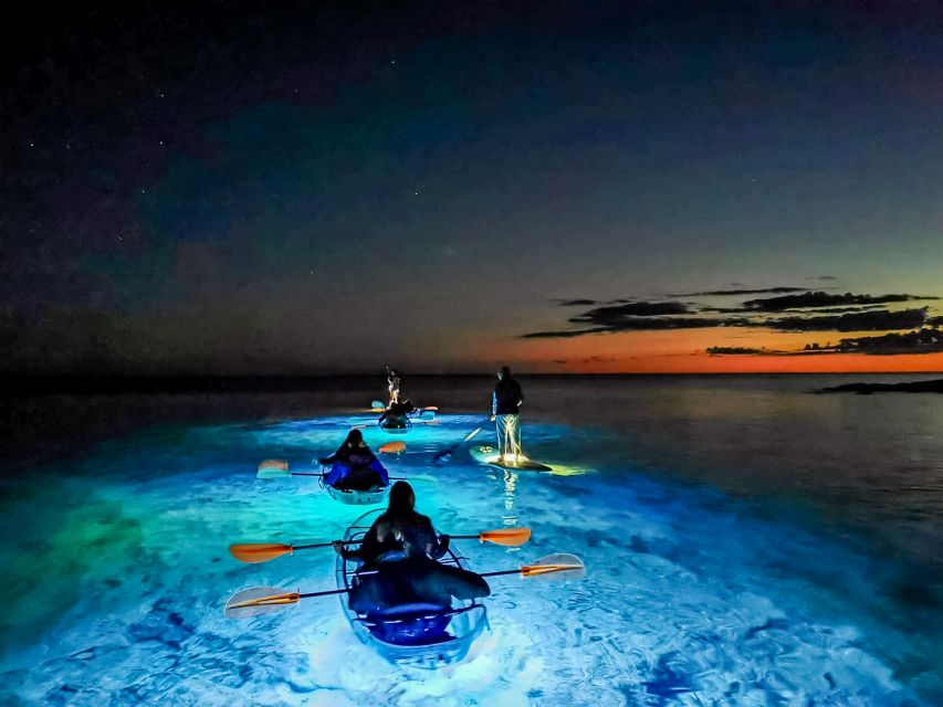 Pula: Night-Time Sea Kayaking Tour in Transparent Kayak - Booking Options and Reservation Details