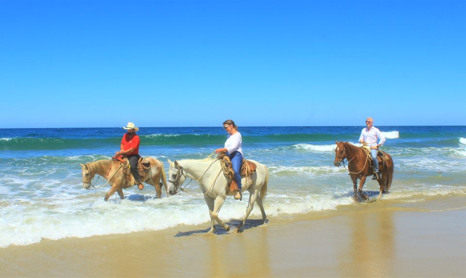 Punta De Mita/Sayulita: Horseback Riding Tour - Last Words