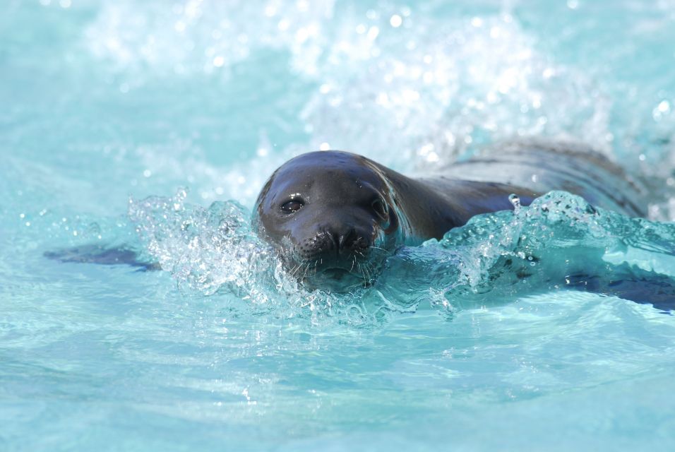 Quebec: Aquarium Du Quebec Entry Ticket - Visitor Feedback