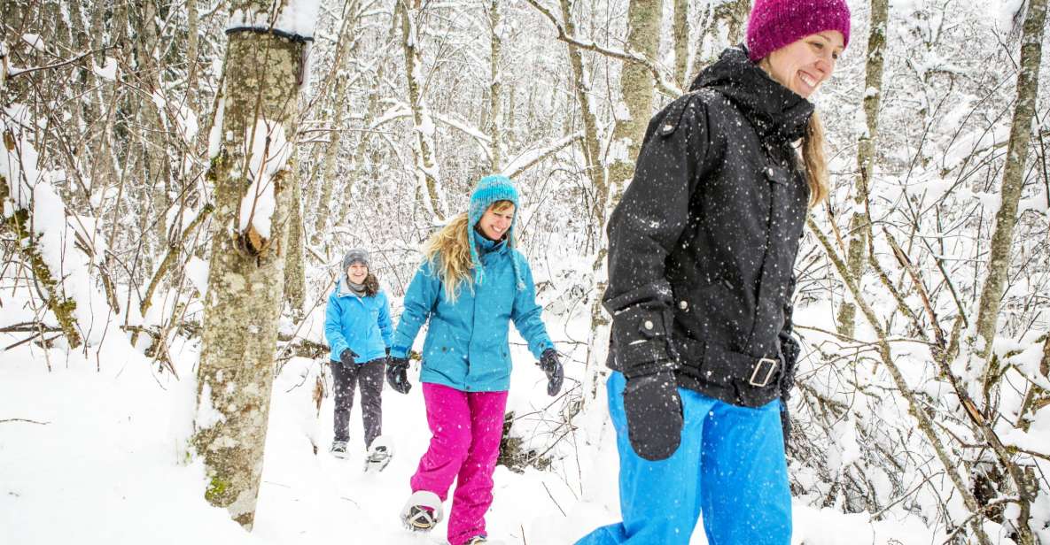 Quebec City: Jacques-Cartier National Park Snowshoeing Tour - Nature and Wildlife Discussions