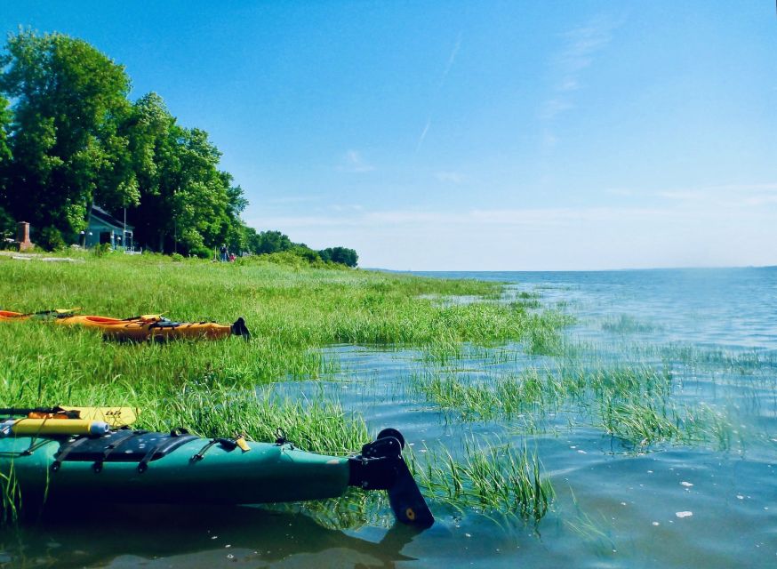 Quebec City: Sea-Kayaking Excursion - Common questions