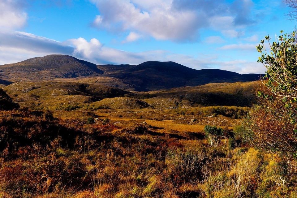 Ring of Kerry: Full-Day Tour From Killarney - Common questions