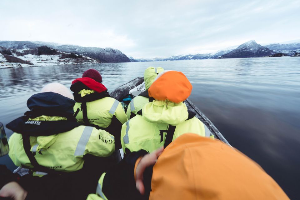 Rosendal Fjord Explore: RIB Adventure on the Hardangerfjord - Location Information