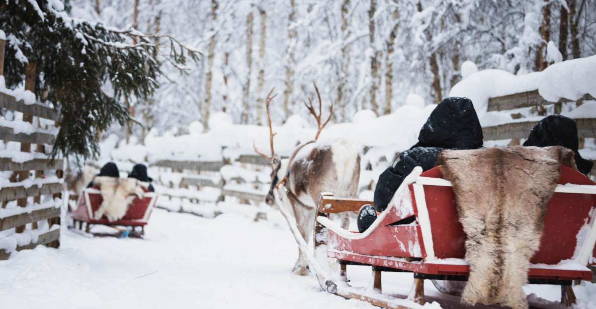 Rovaniemi: Husky Park and Reindeer Farm Combo by Minibus - Common questions