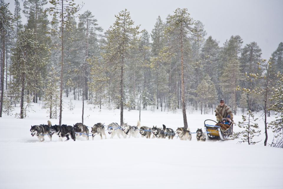 Rovaniemi: Husky & Reindeer Farm Visit With Snowmobile Ride - Common questions