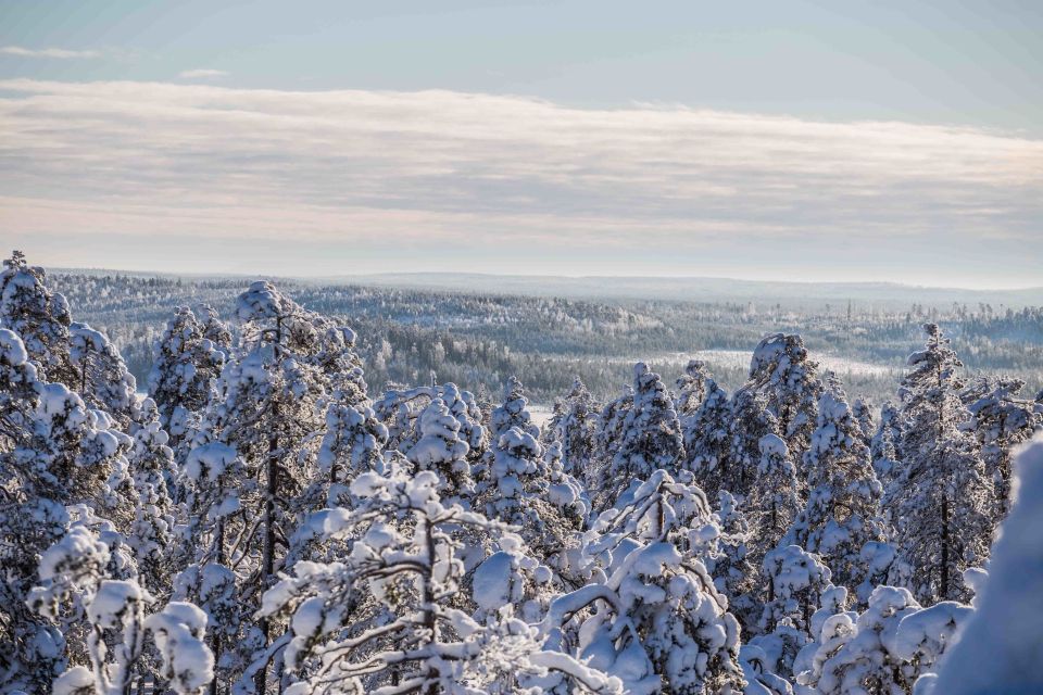 Rovaniemi: Nordic Forest Wilderness Adventure - Last Words