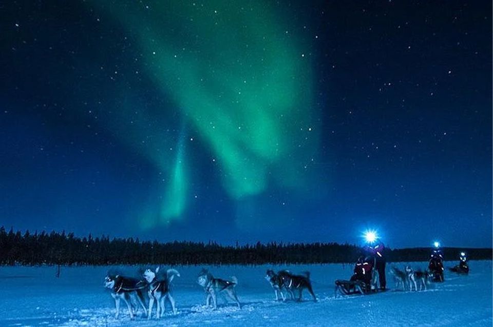 Rovaniemi: Northern Lights and Husky Sleigh Ride - Last Words