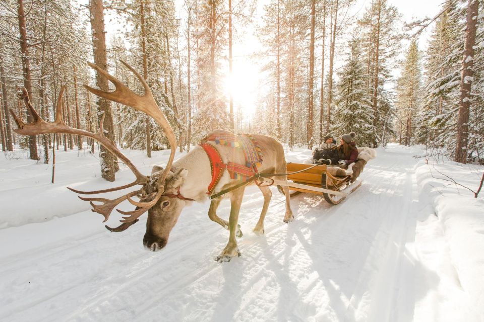 Rovaniemi: Santa Claus Village, Husky & Reindeer Sled Ride - Last Words