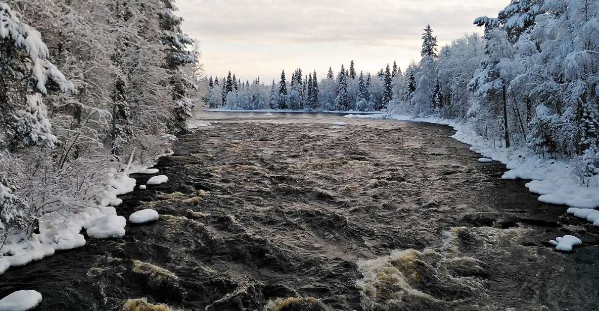 Rovaniemi: Vaattunki Hiking Arctic Circle Trail - Last Words