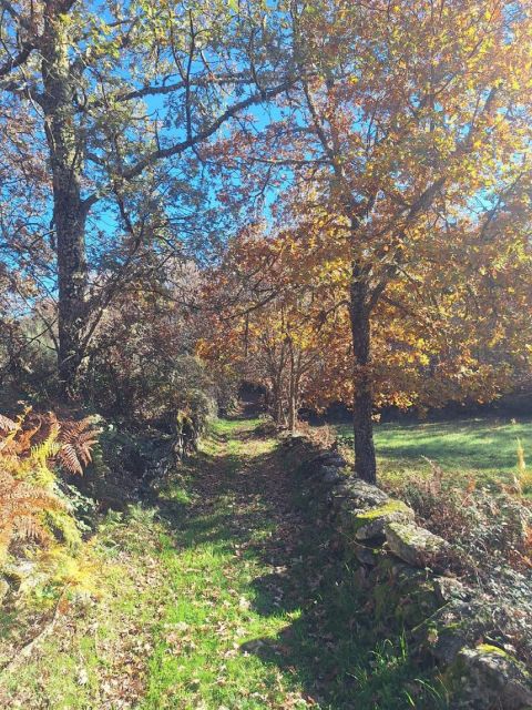 Sabugal: Stories of the Côa and Its Castle, Walking Tour - Operation of a Caster Mill