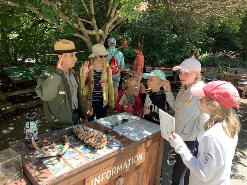 San Francisco: Muir Woods and Sausalito Small Group Tour - Common questions
