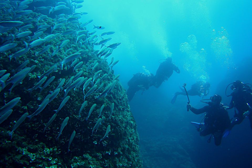 Scuba Diving in Dubrovnik: 1 Dive for Certified Divers - Last Words