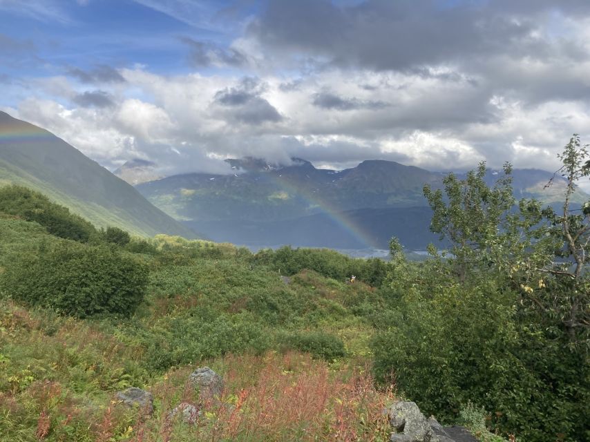 Seward: Guided Wilderness Hike With Transfer - Location Details & Preparations
