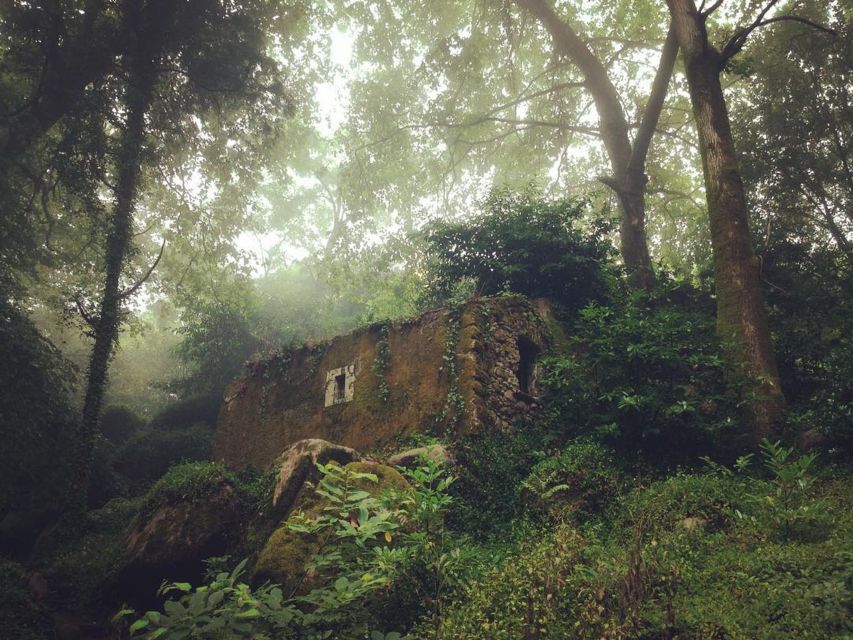 Sintra Guided Visit: Life and Death at the Capuchos Convent - Common questions