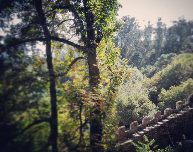 Sintra: Legends and Medieval Stories Private Walking Tour - Last Words