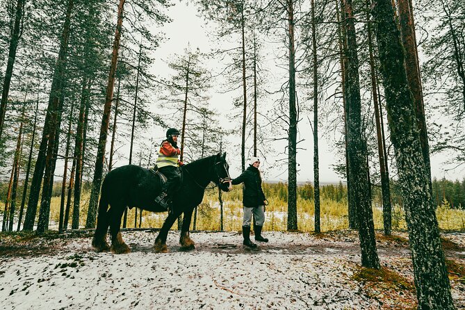 Small-Group Arctic Circle Horse Riding From Rovaniemi - Last Words