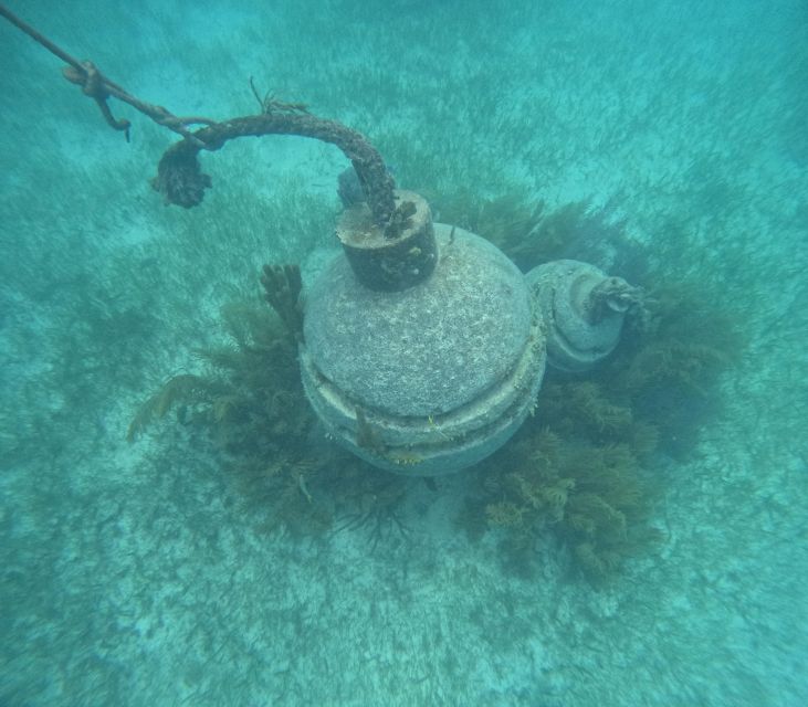 Snorkel Paradise Cancun and Underwater Museum in Nizuc - Common questions