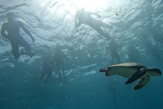 Snorkeling Experience in Santa Maria Bay by Boat - Last Words