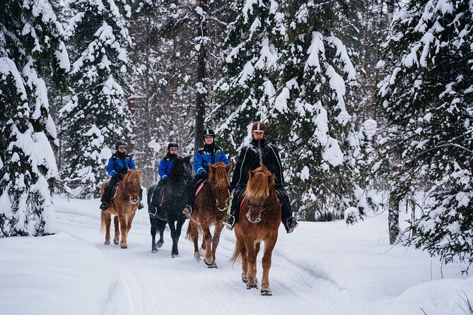 Snowy Nature on Horseback in Apukka Resort, Rovaniemi - Last Words