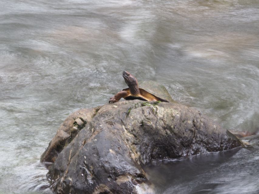 Sok River Canoeing Half-Day Tour - Important Reminders