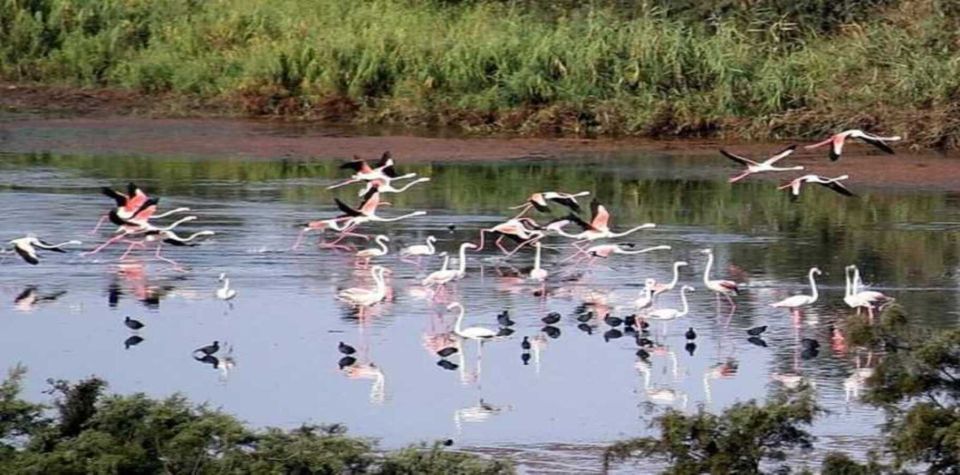 Souss-Massa National Park, Chtouka Aït Baha - Book Tickets & Tours - Common questions