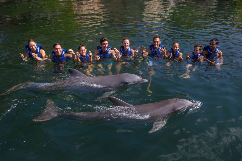 Swim With Dolphins Ride - Riviera Maya - Common questions