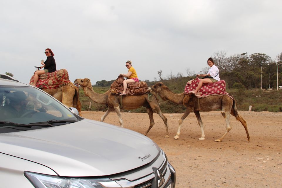 Taghazout: Sunset Beach Camel Ride With Hotel Transfers - Common questions