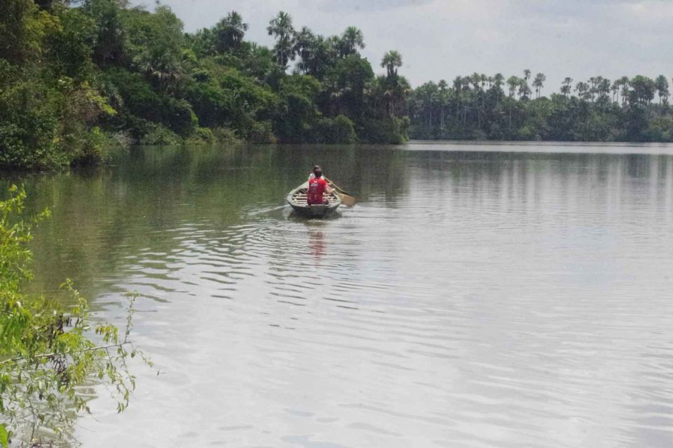 Tambopata: Lake Sandoval Canoeing With Lunch - Key Points