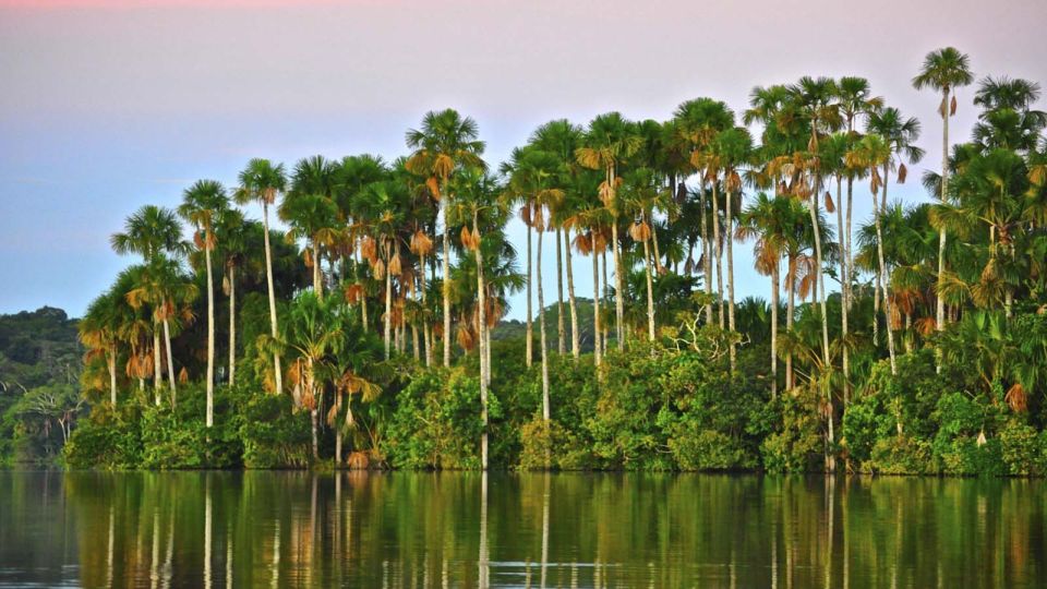 Tambopata Peruvian Amazon Jungle for Three Days/Two Nights - Last Words