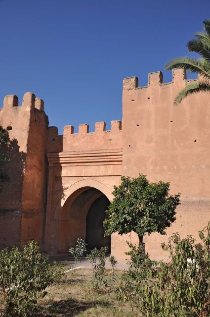 Taroudant and Tiout Oasis Trip With Lunch - Common questions