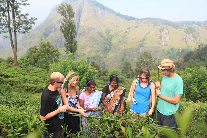 Tea Plantation Tour in Ella, Sri Lanka - Refund Policy