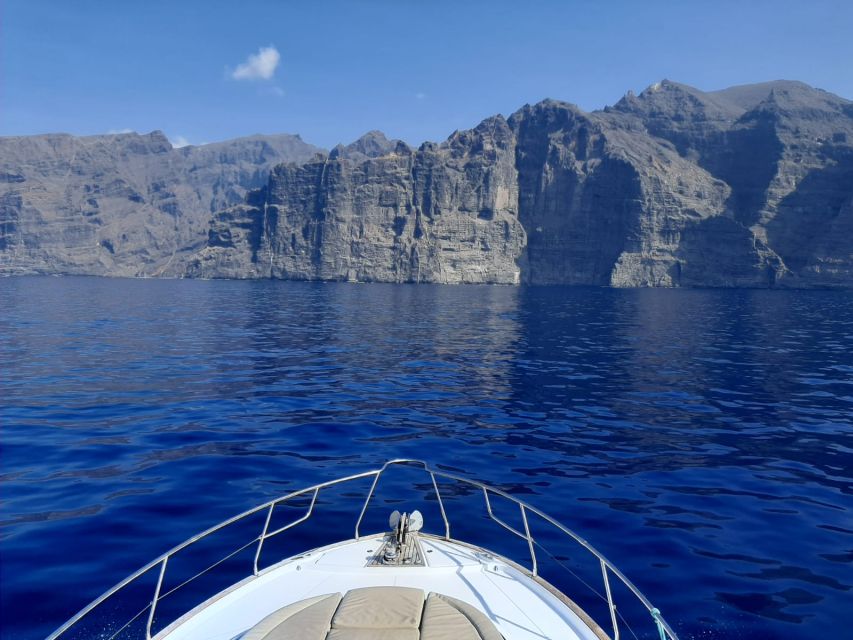 Tenerife: All-Inclusive 2 to 4 Hour Private Motorboat Tour - Additional Services