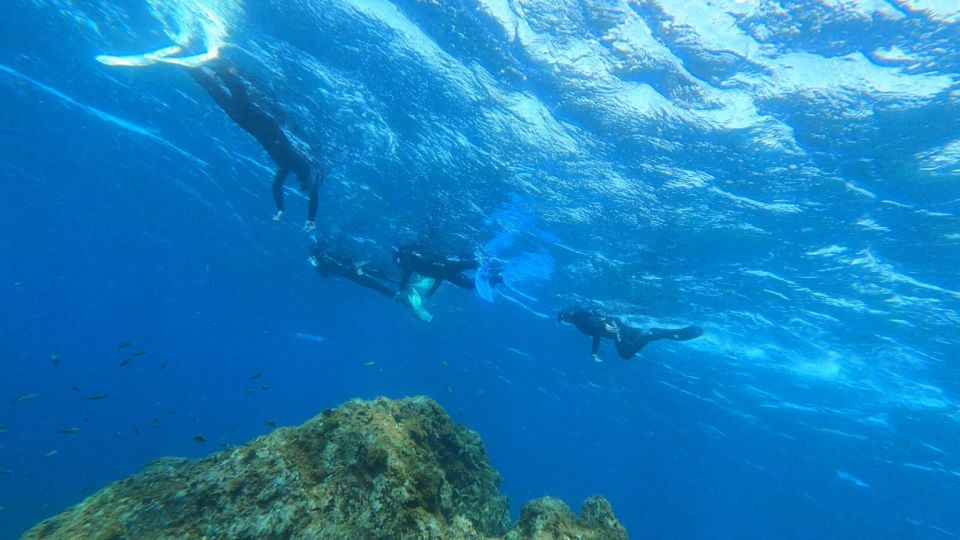 Tenerife: Snorkeling Tour in a Marine Protected Area - Common questions