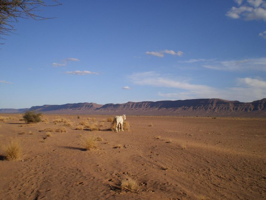 Touareg Desert Horseback Riding in Morocco - Accommodation Details