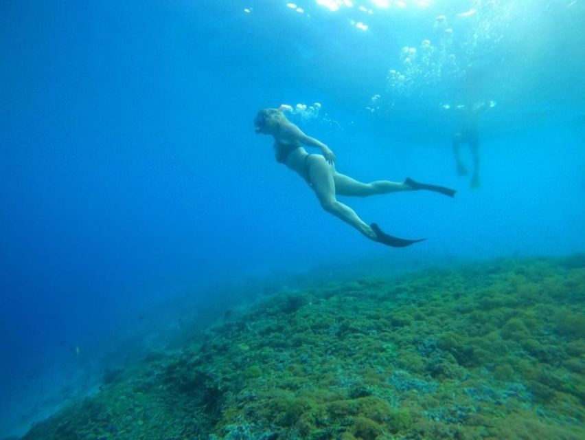 Tour Gili Islands : Private Snorkeling Trip 4 Hours - Last Words
