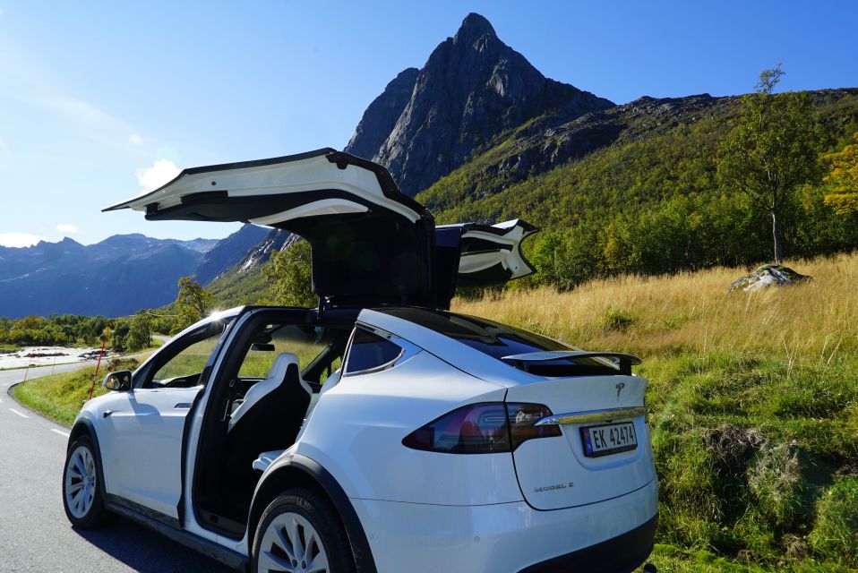 Tromsø: Fjord Sightseeing in a Tesla X Luxury Electric Car - Key Points