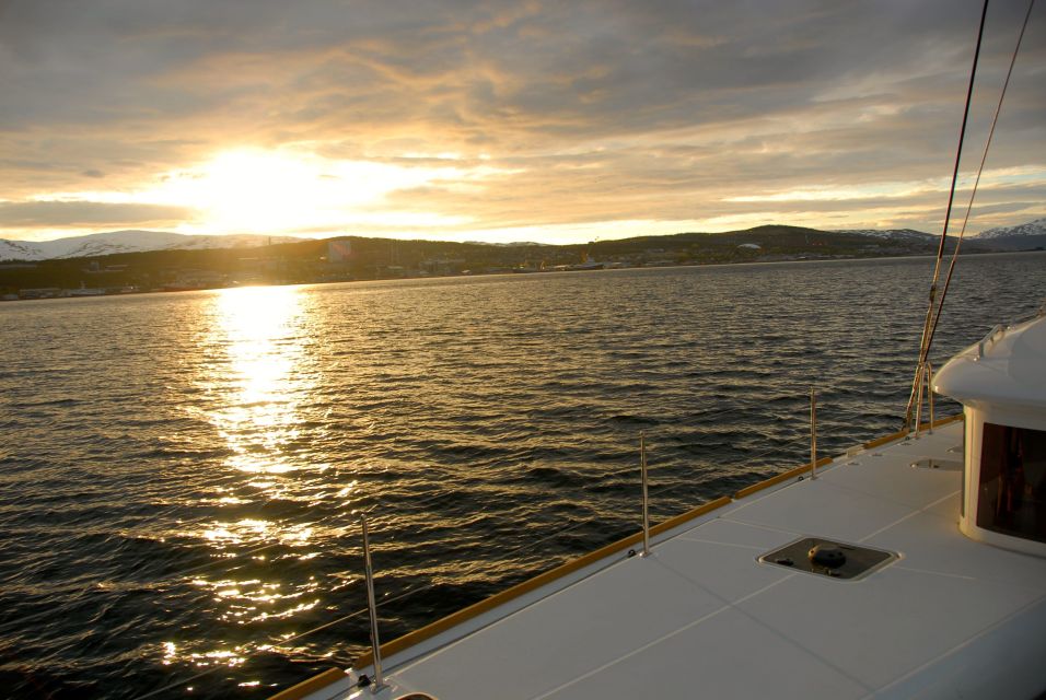 Tromsø: Midnight Sun Cruise in a Luxury Catamaran - Common questions