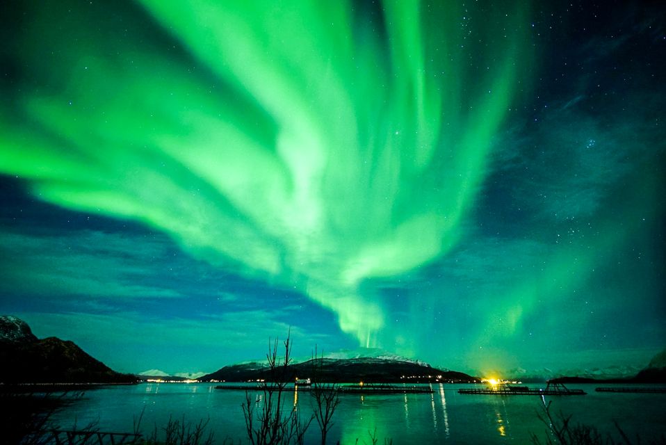 Tromsø: Northern Lights Chase Minibus Tour With Campfire - Transportation Experience